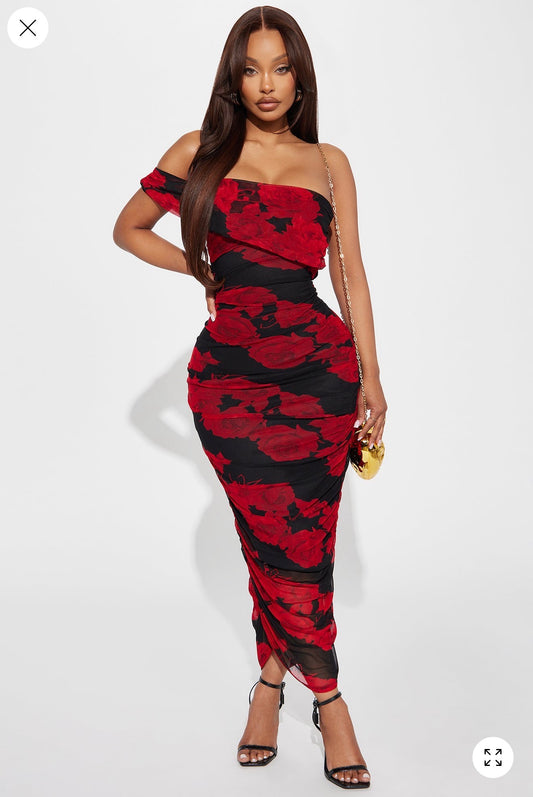 Fashion Nova Rosetta Mesh Dress