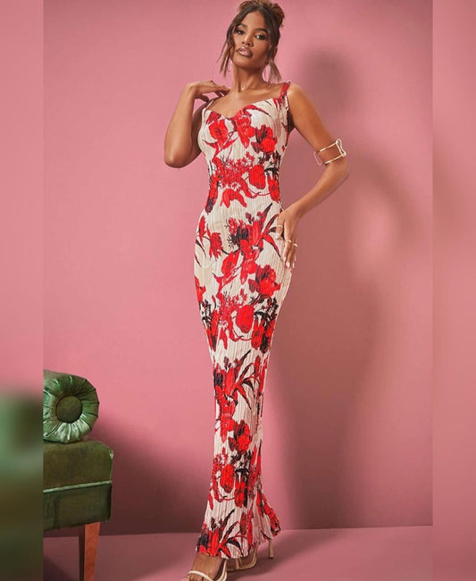 Multi Color Bormay Bodycon Maxi dress