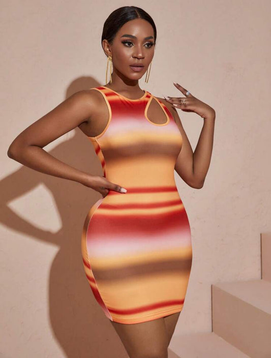 Ombre Bodycon Dress